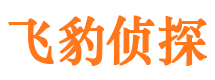 上街市侦探调查公司